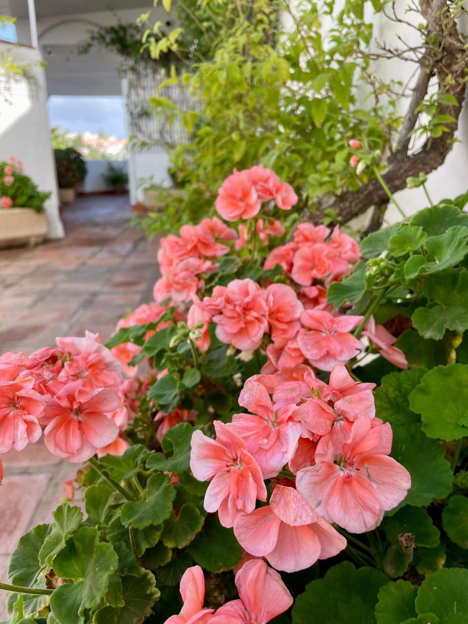 Apartamento Sun Castle Fuengirola Exterior foto