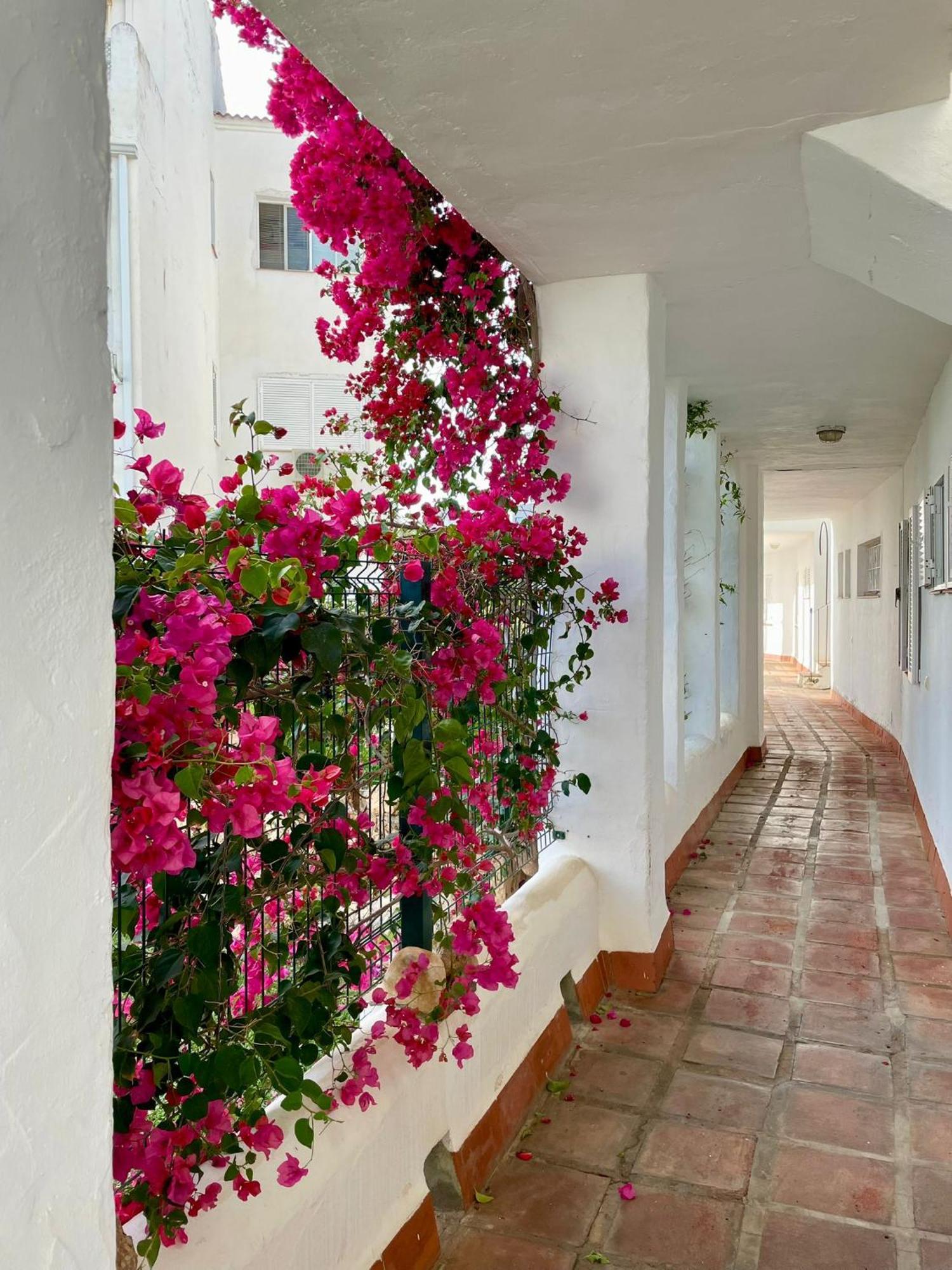Apartamento Sun Castle Fuengirola Exterior foto