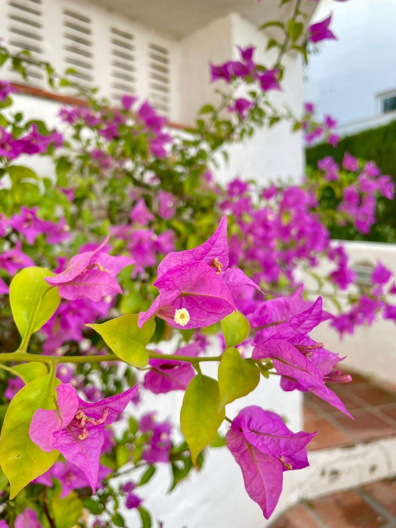 Apartamento Sun Castle Fuengirola Exterior foto
